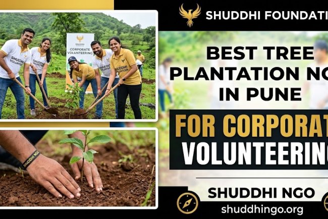 Best Tree Plantation NGO in Pune for Corporate Volunteering | Shuddhi NGO