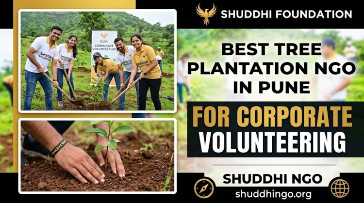 Best Tree Plantation NGO in Pune for Corporate Volunteering | Shuddhi NGO