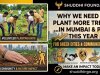 Why We Need to Plant More Trees in Mumbai and Pune This Year