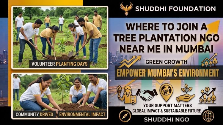 Where to Join a Tree Plantation NGO Near Me in Mumbai | Shuddhi NGO