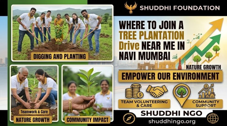 How to Volunteer for Tree Plantation Drives in Navi Mumbai